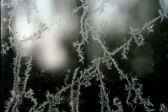 Givre_30x20