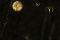 Space-Below-2