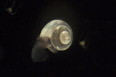 Space-below-1